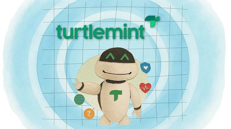 turtlemint
