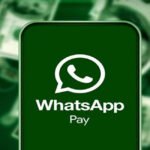 WhatsApp Pay का UPI कारोबार दोगुना, CRED और Amazon Pay को पीछे छोड़ा; जुलाई में 16.78 करोड़ ट्रांजैक्शन